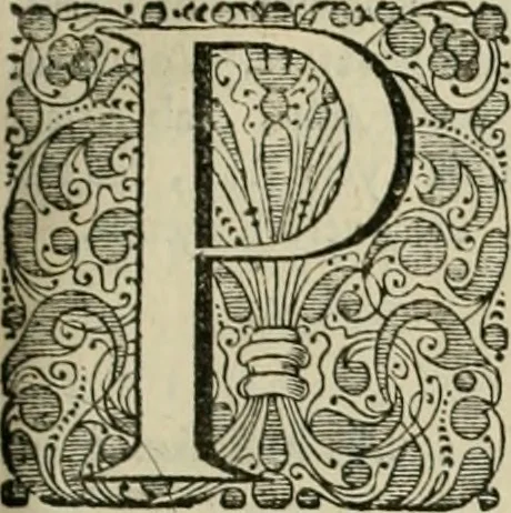 An illustration from Stephanos Peri poleon = Stephanus De urbibus, 1678, leaf 596