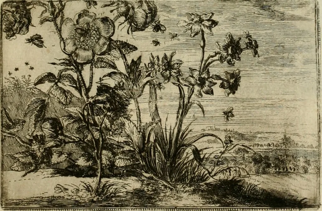 An illustration from Stephanos Peri poleon = Stephanus De urbibus, 1678, leaf 6