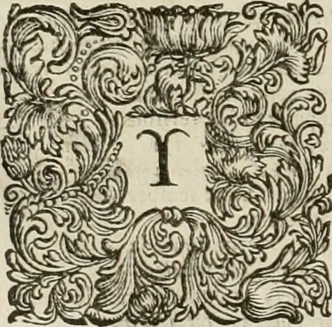 An illustration from Stephanos Peri poleon = Stephanus De urbibus, 1678, leaf 699