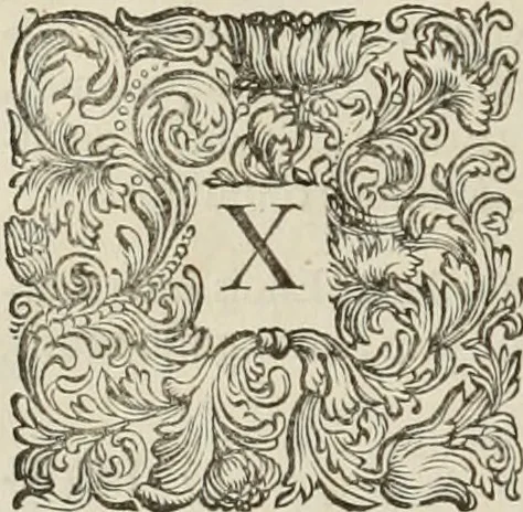 An illustration from Stephanos Peri poleon = Stephanus De urbibus, 1678, leaf 733