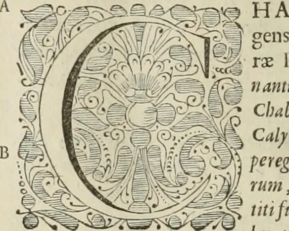 An illustration from Stephanos Peri poleon = Stephanus De urbibus, 1678, leaf 733