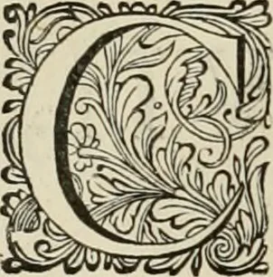An illustration from Stephanos Peri poleon = Stephanus De urbibus, 1678, leaf 813