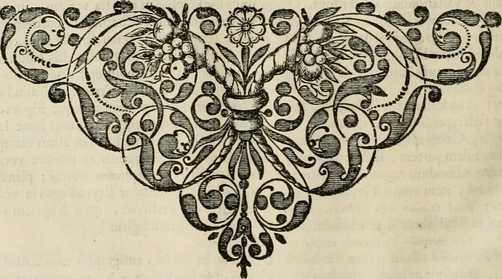 An illustration from Stephanos Peri poleon = Stephanus De urbibus, 1678, leaf 815