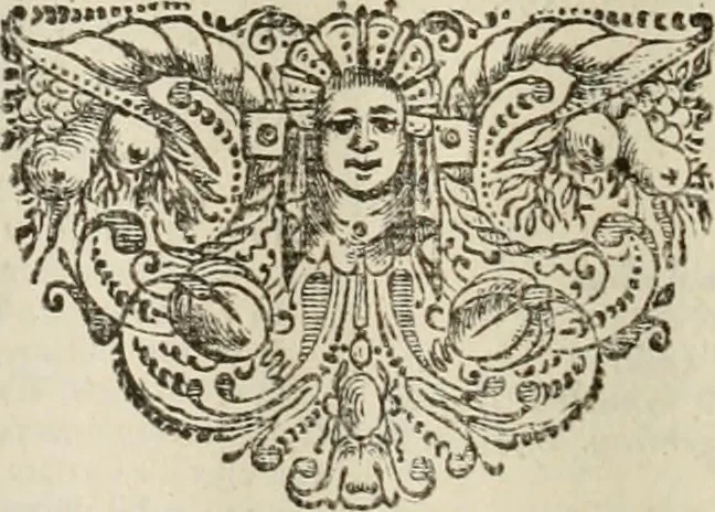 An illustration from Stephanos Peri poleon = Stephanus De urbibus, 1678, leaf 825