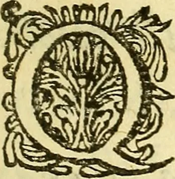 An illustration from Steph. Blancardi Anatomia reformata, sive, Concinna corporis humani : dissectio, ad neotericorum mentem adornata, plurimisque tabulis chalcographicis illustrata : accedit ejusdem authoris be balsamatione, nova methodus, à nemine antehac hoc modo descripta, 1687, leaf 10