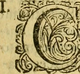An illustration from Steph. Blancardi Anatomia reformata, sive, Concinna corporis humani : dissectio, ad neotericorum mentem adornata, plurimisque tabulis chalcographicis illustrata : accedit ejusdem authoris be balsamatione, nova methodus, à nemine antehac hoc modo descripta, 1687, leaf 720