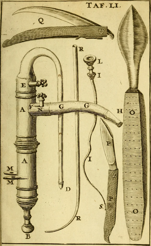 An illustration from Steph. Blancardi Anatomia reformata, sive, Concinna corporis humani : dissectio, ad neotericorum mentem adornata, plurimisque tabulis chalcographicis illustrata : accedit ejusdem authoris be balsamatione, nova methodus, à nemine antehac hoc modo descripta, 1687, leaf 728
