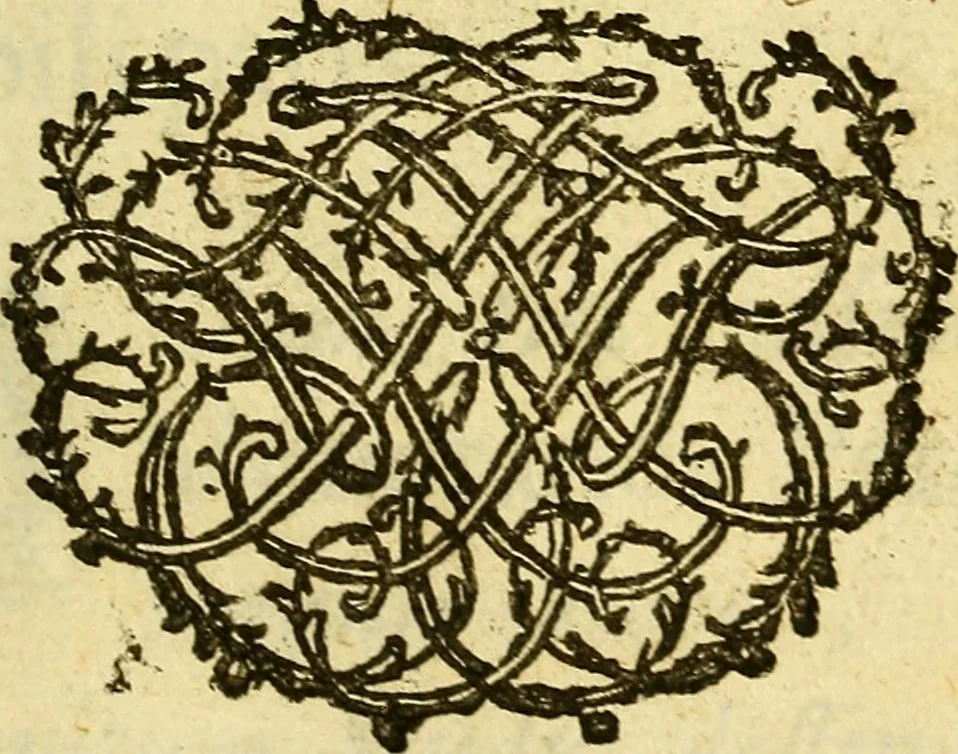An illustration from Steph. Blancardi Anatomia reformata, sive, Concinna corporis humani : dissectio, ad neotericorum mentem adornata, plurimisque tabulis chalcographicis illustrata : accedit ejusdem authoris be balsamatione, nova methodus, à nemine antehac hoc modo descripta, 1687, leaf 8