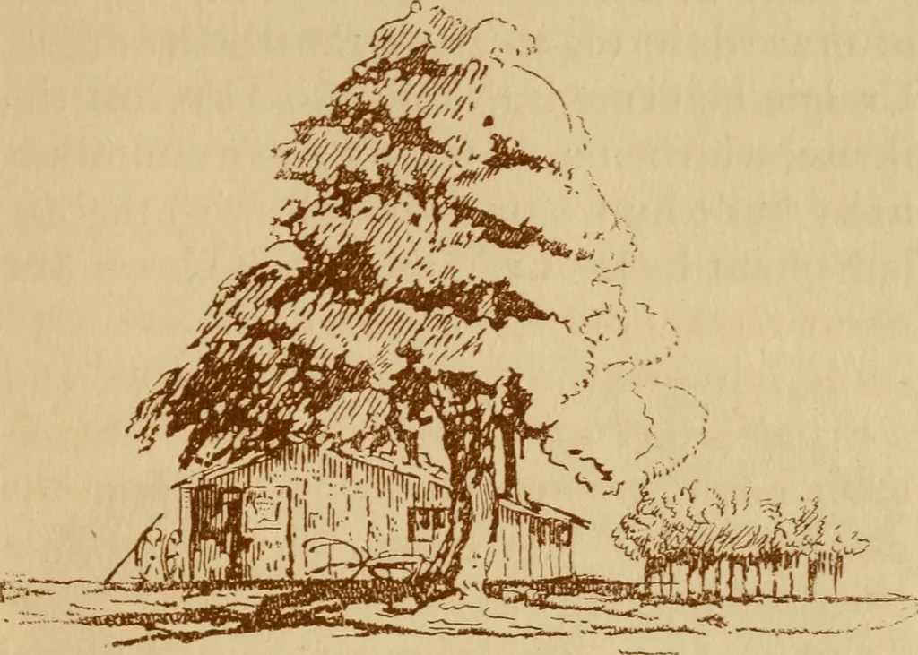 An illustration from Stephen Daye and his successors; the establishment of a printing plant in what was formerly British North America and the development of the art of printing at the University Press, of Cambridge, Massachusetts. 1639-1921, 1921, leaf 40