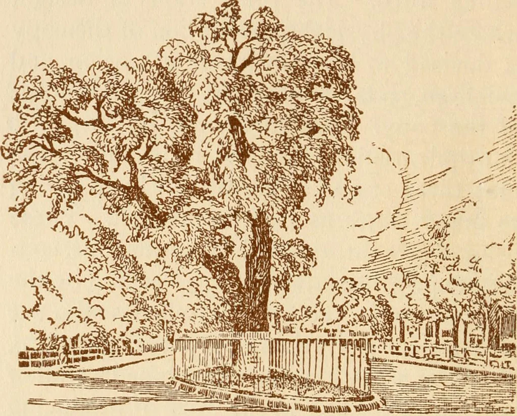 An illustration from Stephen Daye and his successors, the establishment of a printing plant in what was formerly British North America and the development of the art of printing at the University Press of Cambridge, Massachusetts, 1639-1921, 1921, leaf 35