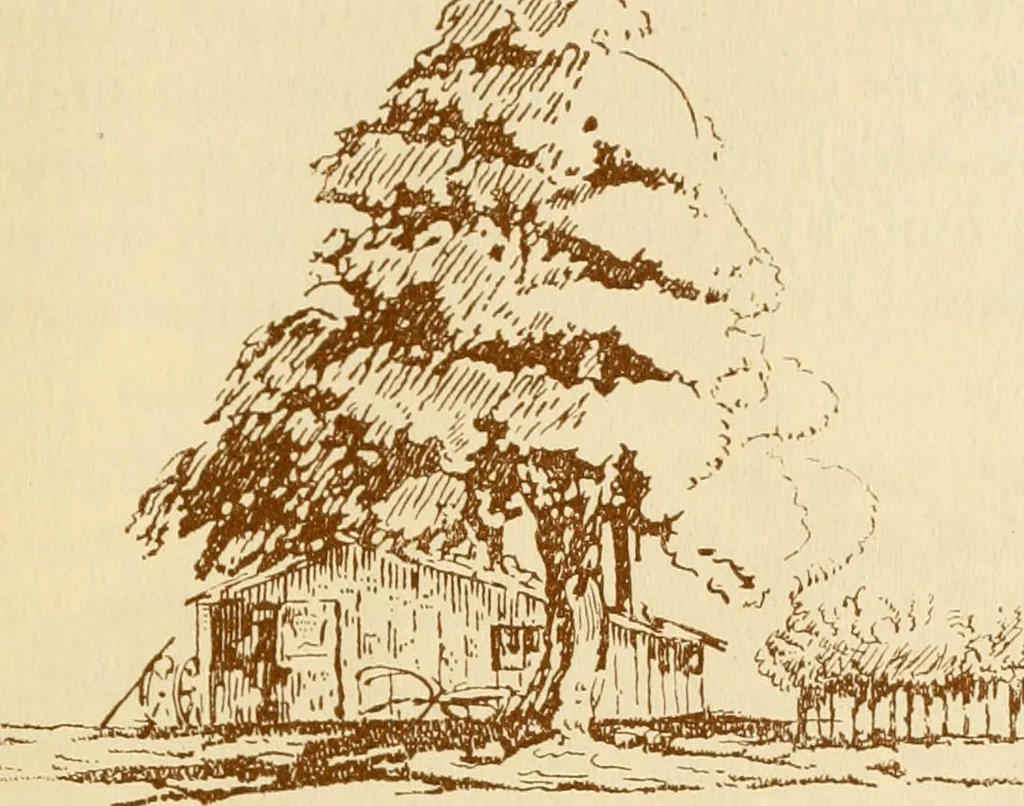 An illustration from Stephen Daye and his successors, the establishment of a printing plant in what was formerly British North America and the development of the art of printing at the University Press of Cambridge, Massachusetts, 1639-1921, 1921, leaf 38