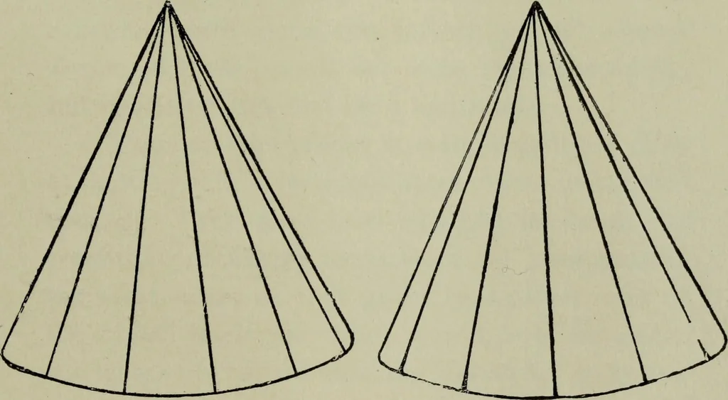 An illustration from The stereoscope and stereoscopic photography, 1890, leaf 114