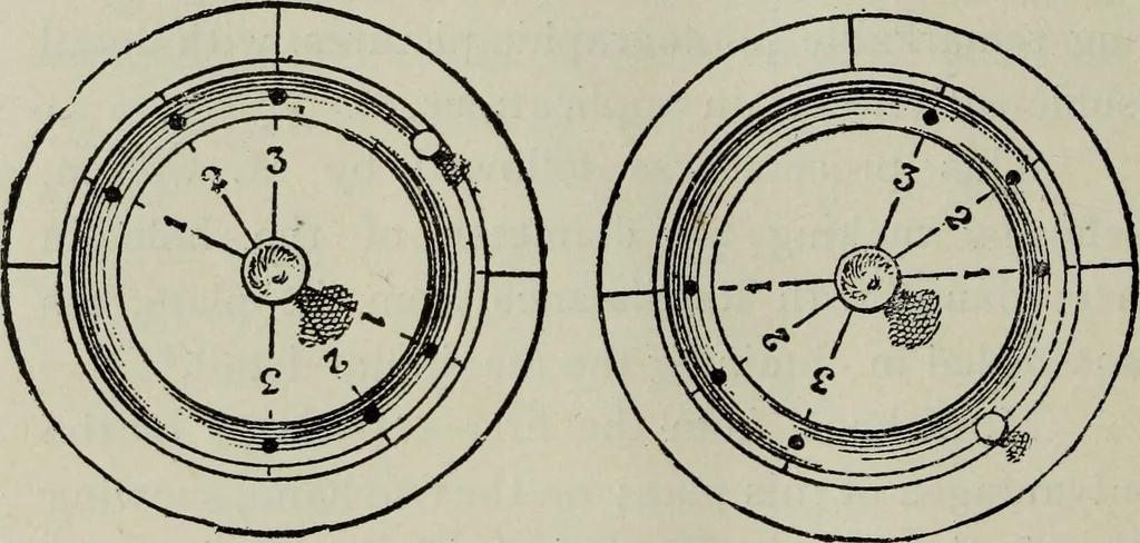 An illustration from The stereoscope and stereoscopic photography, 1890, leaf 157