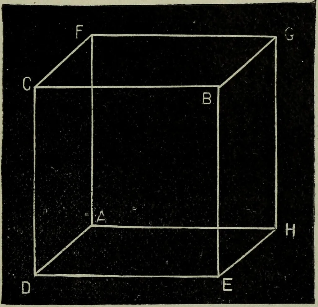 An illustration from The stereoscope and stereoscopic photography, 1890, leaf 16