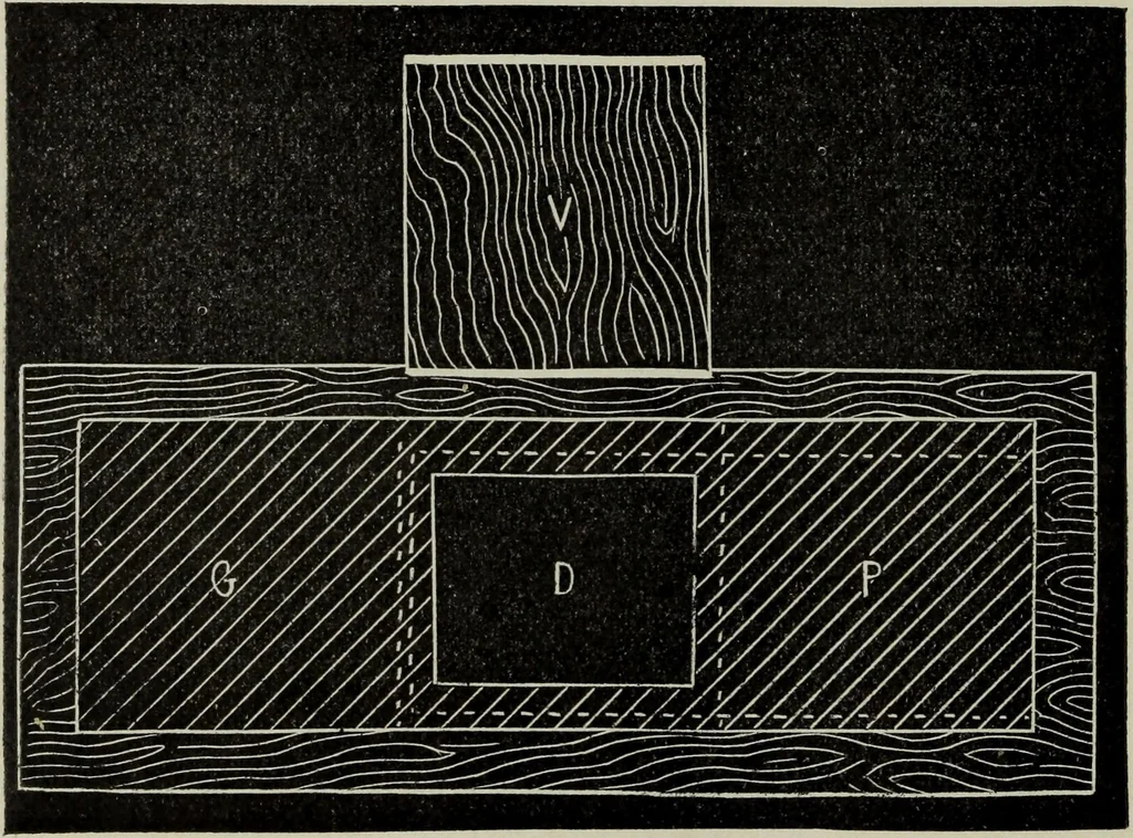 An illustration from The stereoscope and stereoscopic photography, 1890, leaf 179