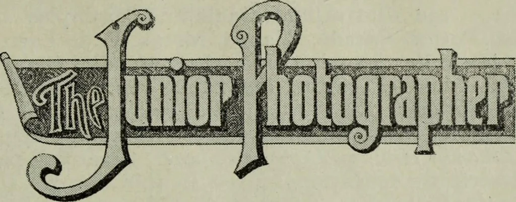 An illustration from The stereoscope and stereoscopic photography, 1890, leaf 190