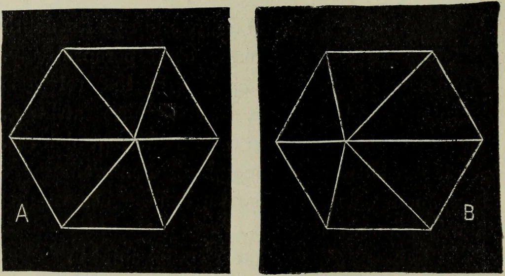 An illustration from The stereoscope and stereoscopic photography, 1890, leaf 21