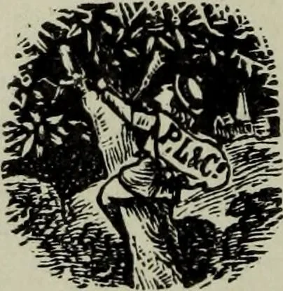 An illustration from The stereoscope and stereoscopic photography, 1890, leaf 7