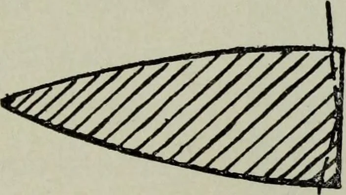 An illustration from The stereoscope and stereoscopic photography, 1890, leaf 74
