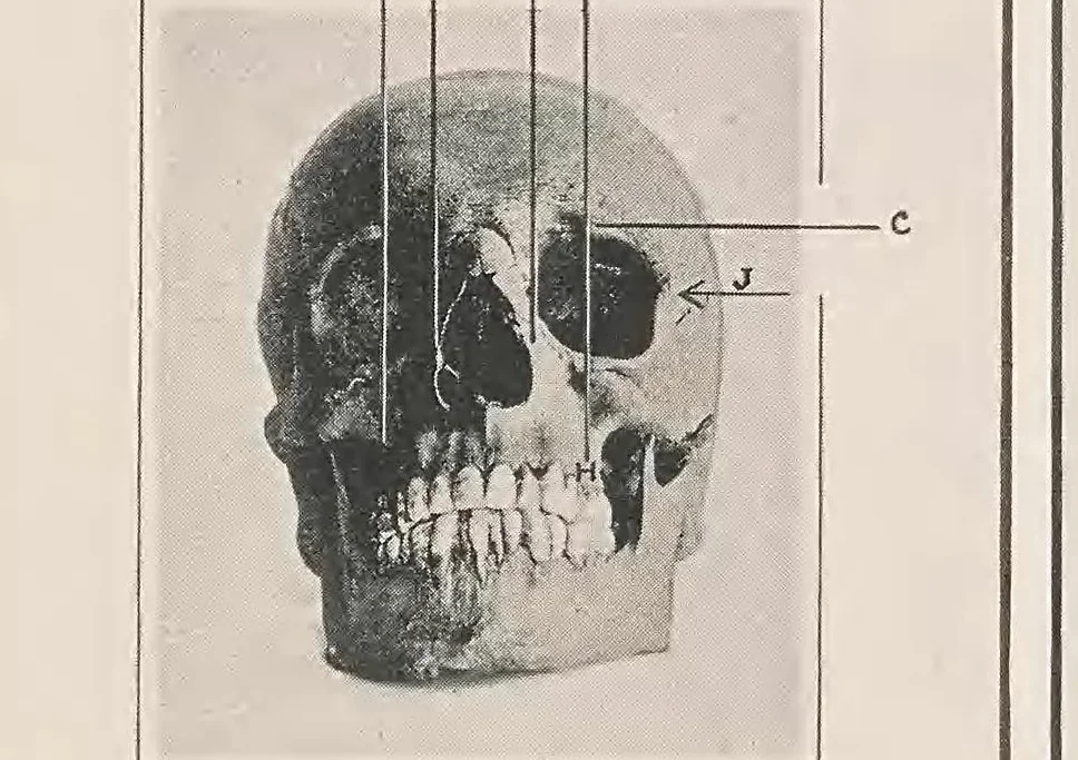 An illustration from The Stereoscopic photograph, 1901, leaf 48
