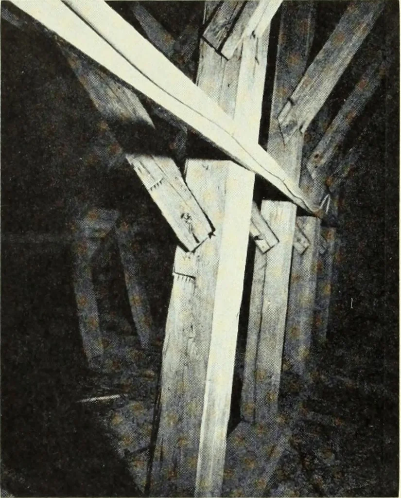 An illustration from Östergötland. Àv Andreas Lindblom, 1921, leaf 288