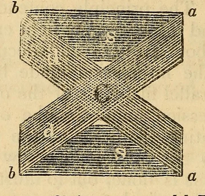 An illustration from The Stethoscope and Virginia medical gazette, 1851, leaf 154