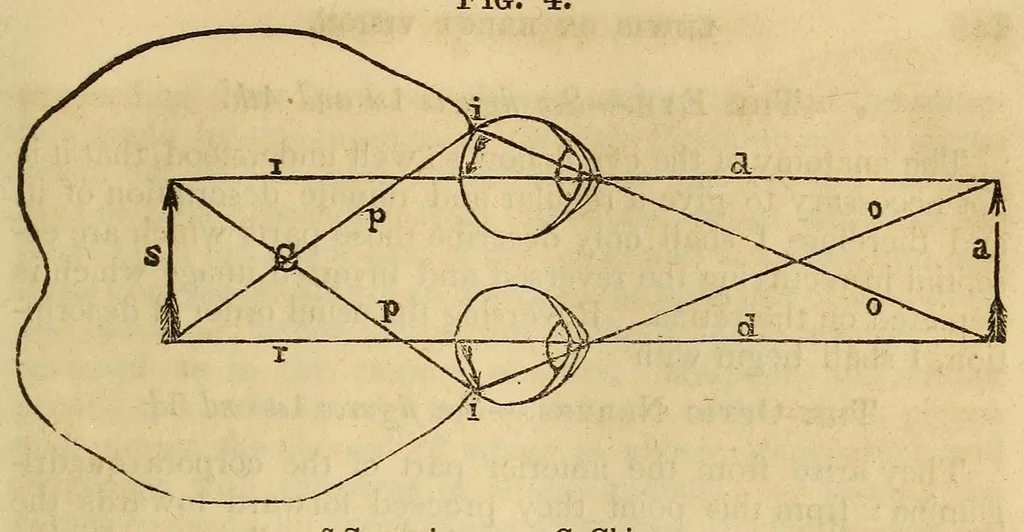 An illustration from The Stethoscope and Virginia medical gazette, 1851, leaf 155