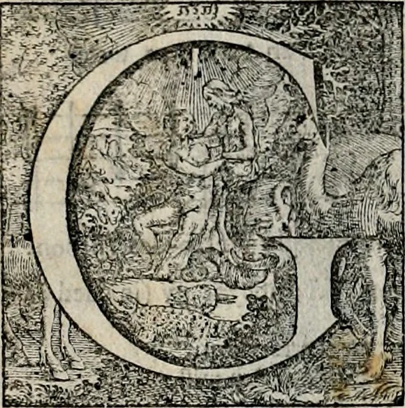 An illustration from Stichtelycke rymen, om te lesen ofte singhen. Onderscheyden in III deelen. Op nieuws over-sien en grootelijckx vermeerdert, oock de noten van druck-fauten ghecorrigeert, en verrijckt met vele copere figuren, 1647, leaf 219