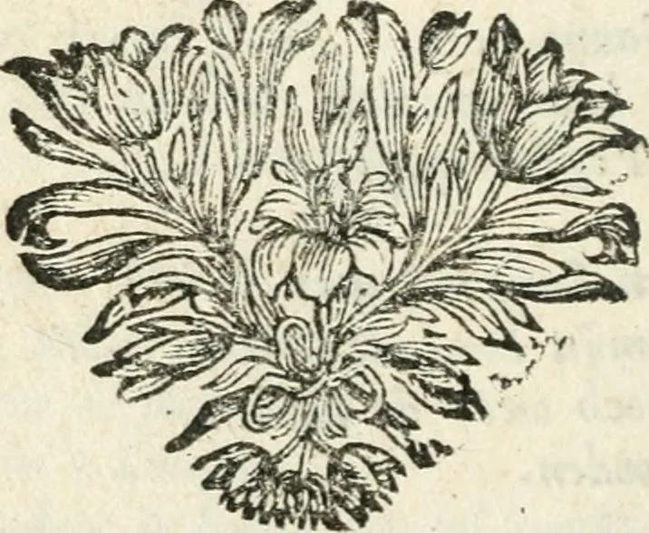 An illustration from Stichtelyke rymen op verscheiden stoffen : waar van ontrent de helft nooit voor-deesen gedrukt zijn : hier in order gestelt in twee deelen, 1700, leaf 169
