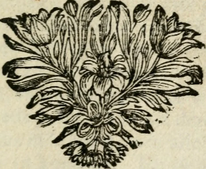 An illustration from Stichtelyke rymen op verscheiden stoffen : waar van ontrent de helft nooit voor-deesen gedrukt zijn : hier in order gestelt in twee deelen, 1700, leaf 4