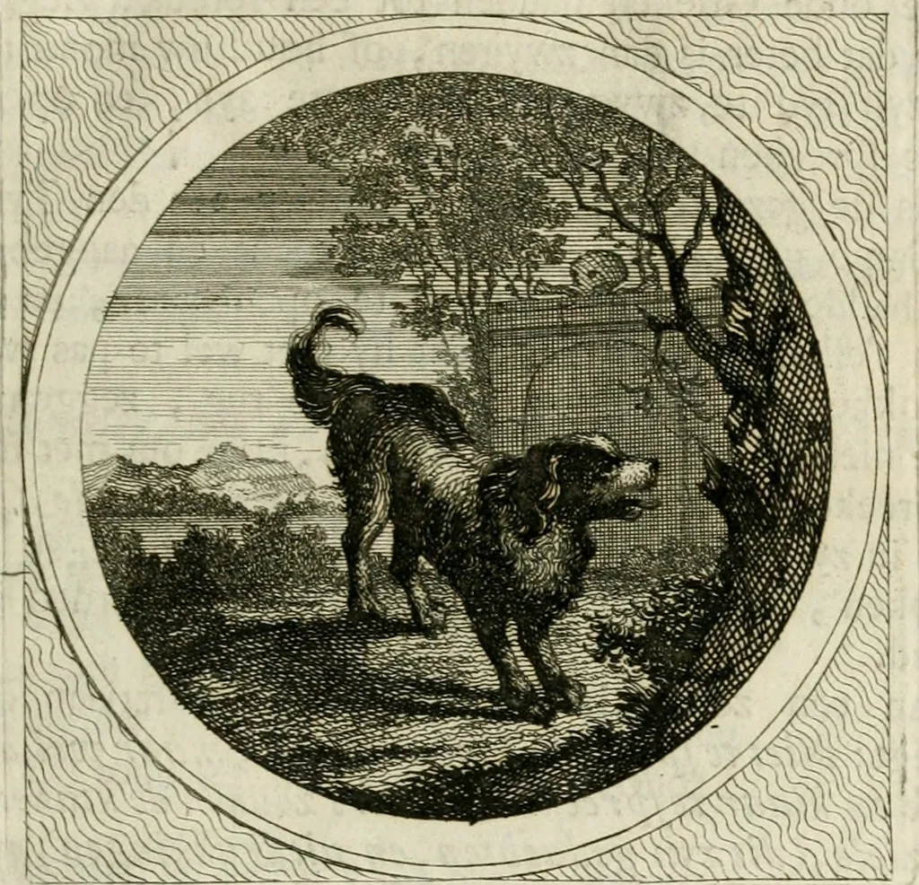 An illustration from Stichtelyke zinnebeelden : gepast of deugden en ondeugden, in LVII tafereelen vertoond, 1767, leaf 50