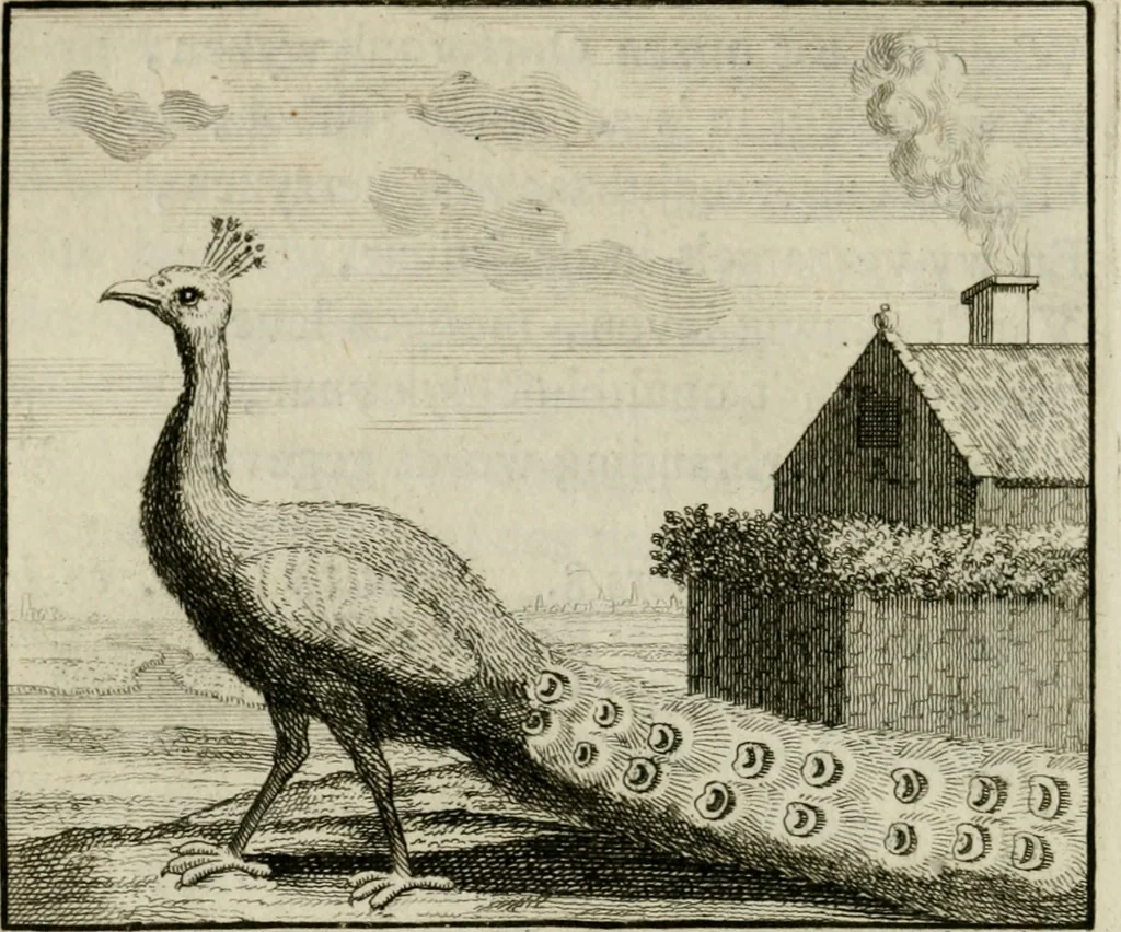 An illustration from Stichtelyke zinnebeelden, en Bybel-stoffen, 1740, leaf 69