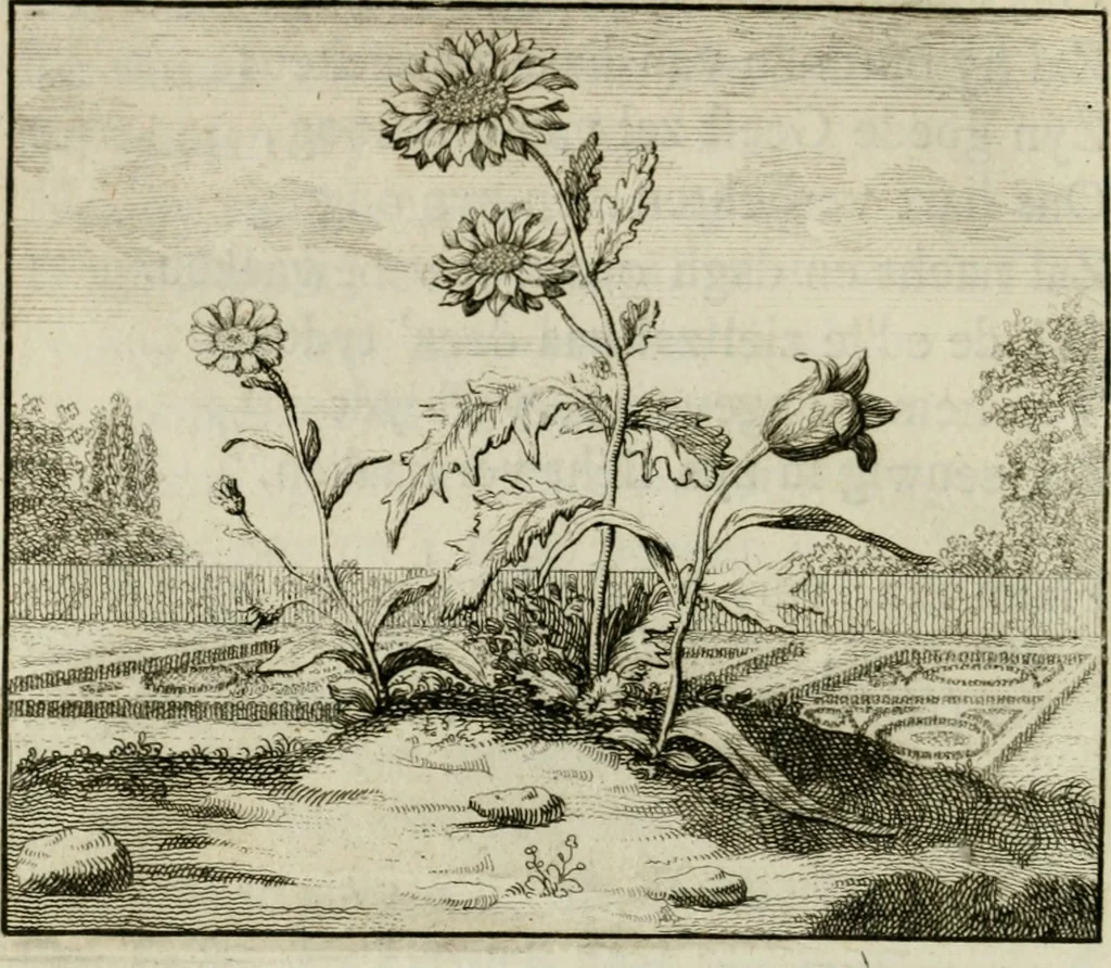 An illustration from Stichtelyke zinnebeelden, en Bybel-stoffen, 1740, leaf 89