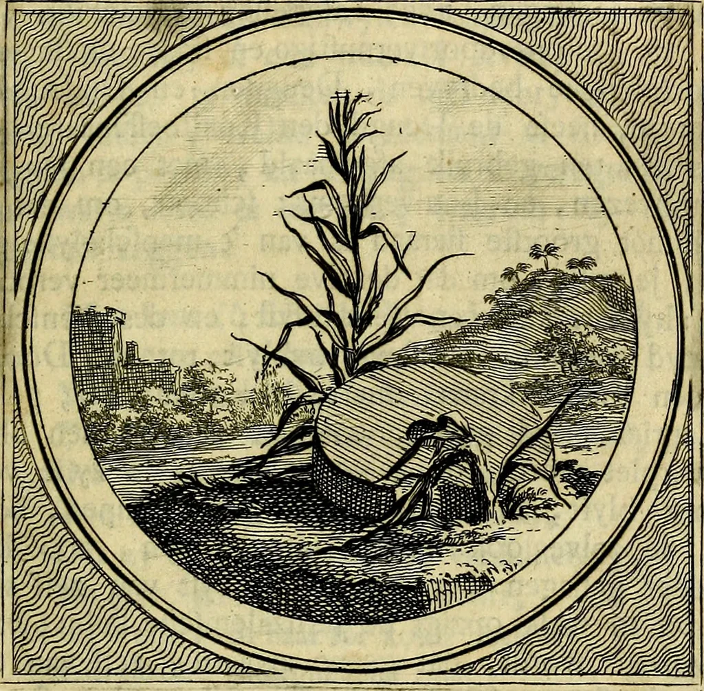 An illustration from Stichtelyke zinnebeelden, gepast op deugden en ondeugden, 1767, leaf 116