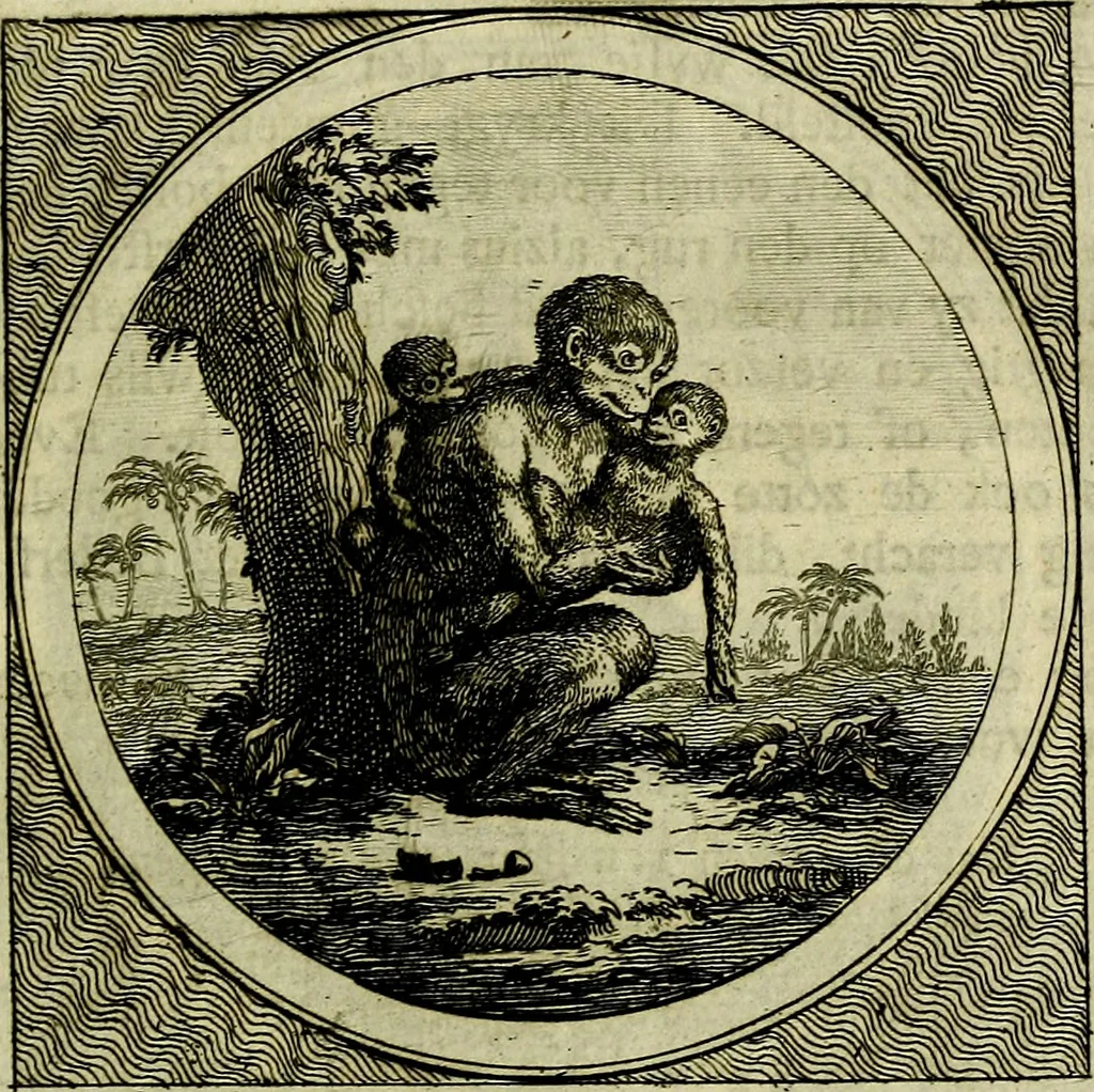 An illustration from Stichtelyke zinnebeelden, gepast op deugden en ondeugden, 1767, leaf 146
