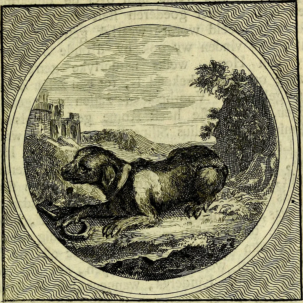 An illustration from Stichtelyke zinnebeelden, gepast op deugden en ondeugden, 1767, leaf 158