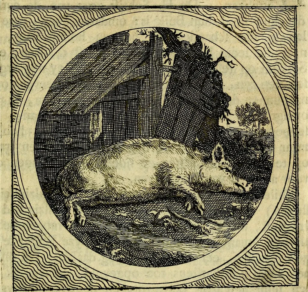 An illustration from Stichtelyke zinnebeelden, gepast op deugden en ondeugden, 1767, leaf 224
