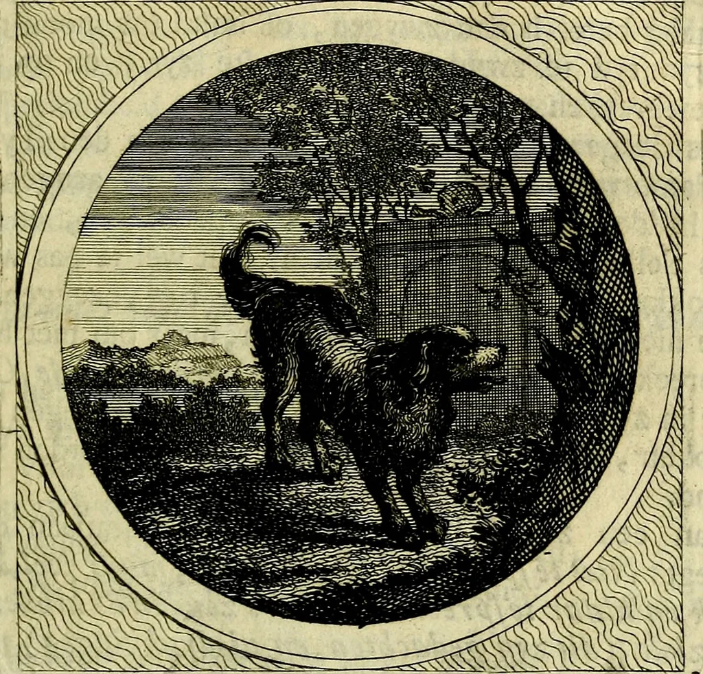 An illustration from Stichtelyke zinnebeelden, gepast op deugden en ondeugden, 1767, leaf 52