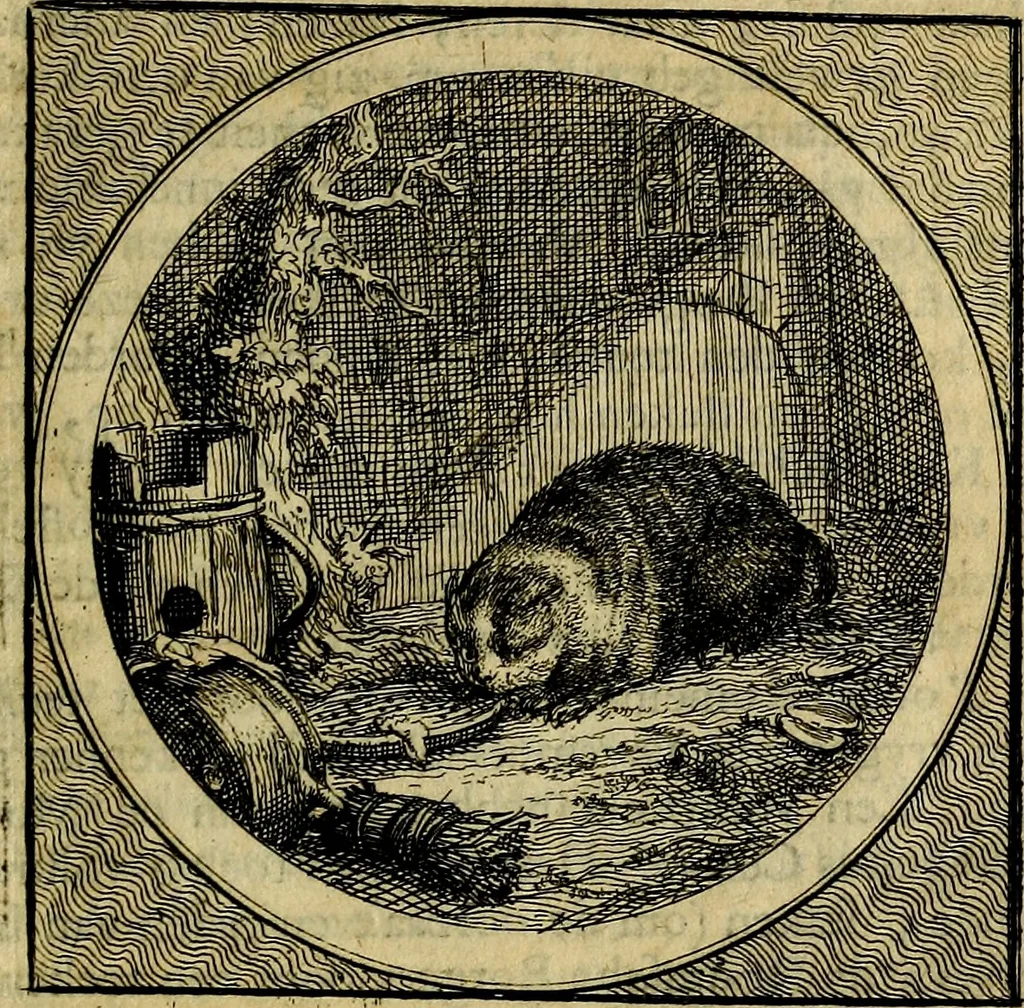 An illustration from Stichtelyke zinnebeelden gepast op deugden en ondeugden : in LVII tafereeelen vertoont, 1723, leaf 166