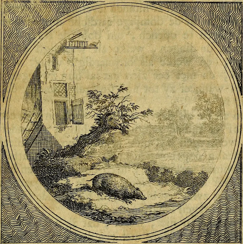 An illustration from Stichtelyke zinnebeelden gepast op deugden en ondeugden : in LVII tafereeelen vertoont, 1723, leaf 206