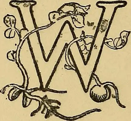 An illustration from Stick-and-pea plays; pastimes for the children's year, 1899, leaf 41