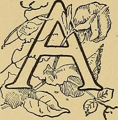 An illustration from Stick-and-pea plays; pastimes for the children's year, 1899, leaf 47