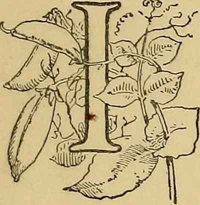 An illustration from Stick-and-pea plays; pastimes for the children's year, 1899, leaf 54
