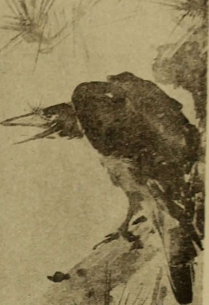 An illustration from Stilanalysen als Einführung in die japanische Malerei, 1908, leaf 192