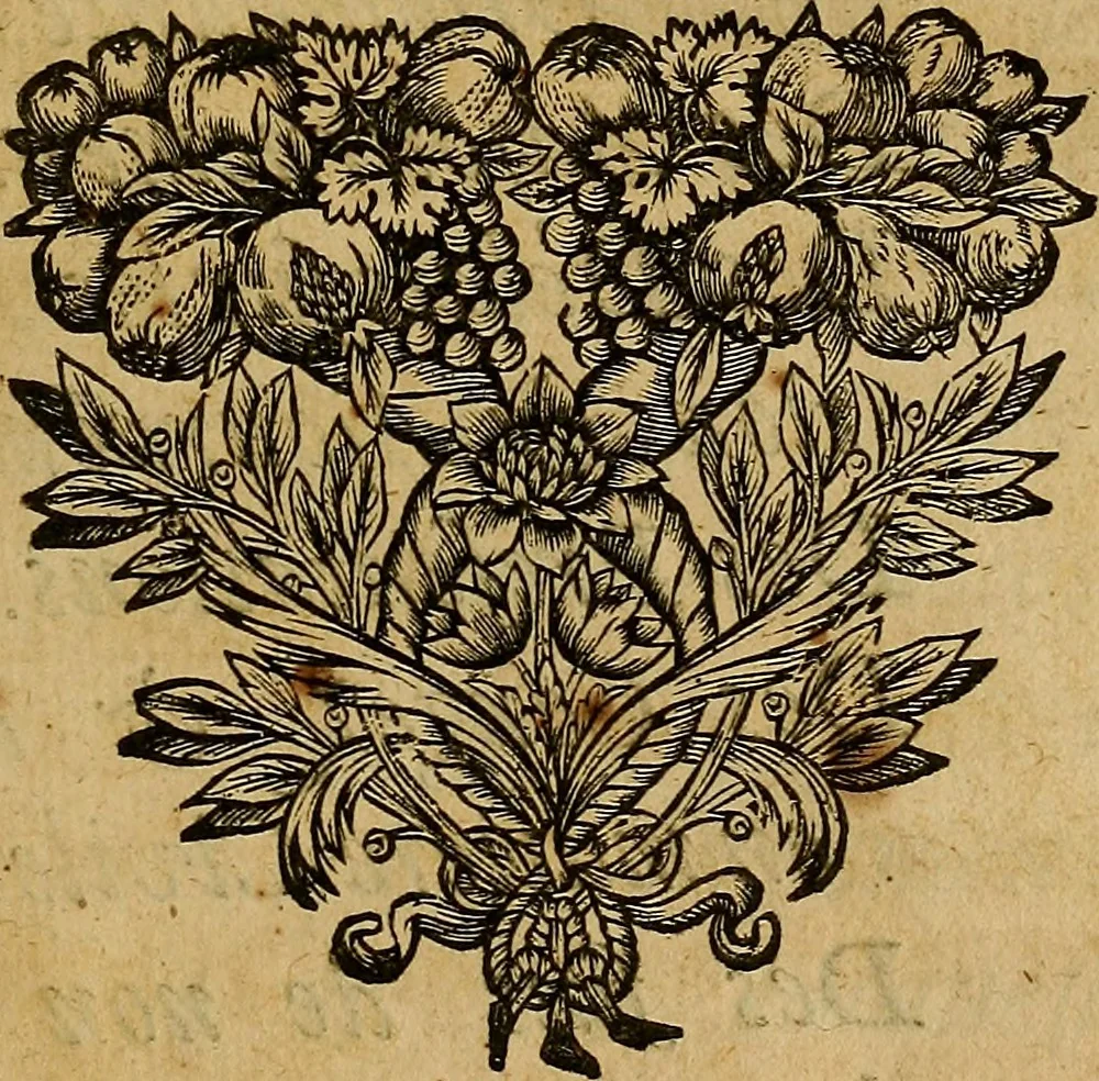 An illustration from Stile universel dresse pour toutes les cours et jurisdictions du royaume : suivant l'ordonnance de Louis XIV ... du mois d'Avril 1667, 1676, leaf 14