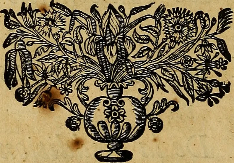 An illustration from Stile universel dresse pour toutes les cours et jurisdictions du royaume : suivant l'ordonnance de Louis XIV ... du mois d'Avril 1667, 1676, leaf 19