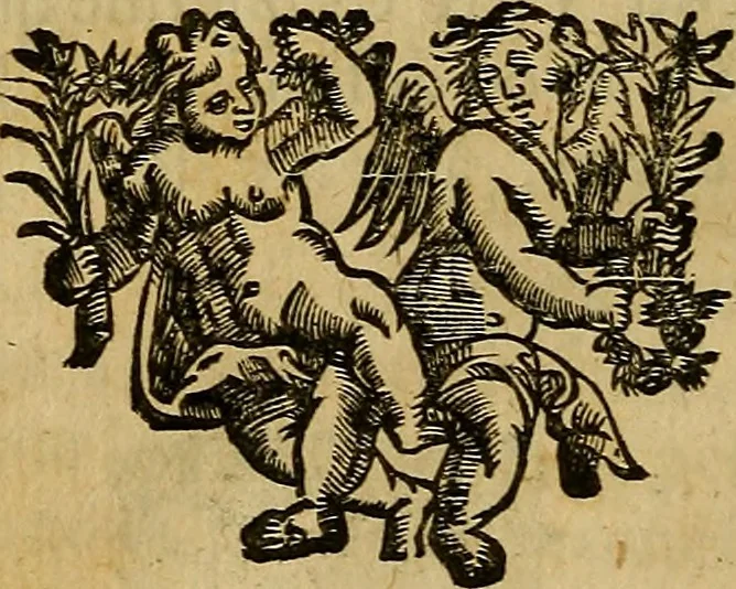 An illustration from Stile universel dresse pour toutes les cours et jurisdictions du royaume : suivant l'ordonnance de Louis XIV ... du mois d'Avril 1667, 1676, leaf 209