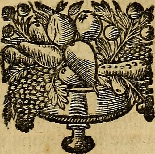 An illustration from Stile universel dresse pour toutes les cours et jurisdictions du royaume : suivant l'ordonnance de Louis XIV ... du mois d'Avril 1667, 1676, leaf 284