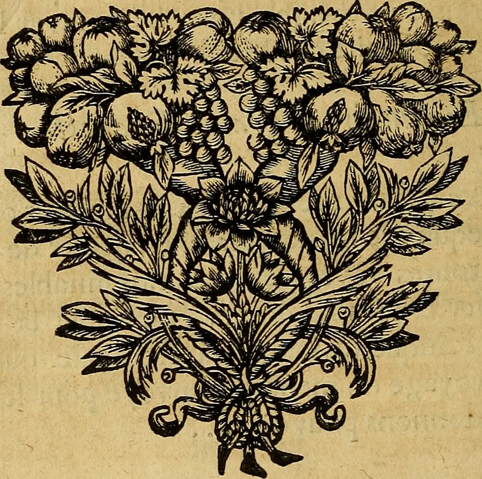 An illustration from Stile universel dresse pour toutes les cours et jurisdictions du royaume : suivant l'ordonnance de Louis XIV ... du mois d'Avril 1667, 1676, leaf 343