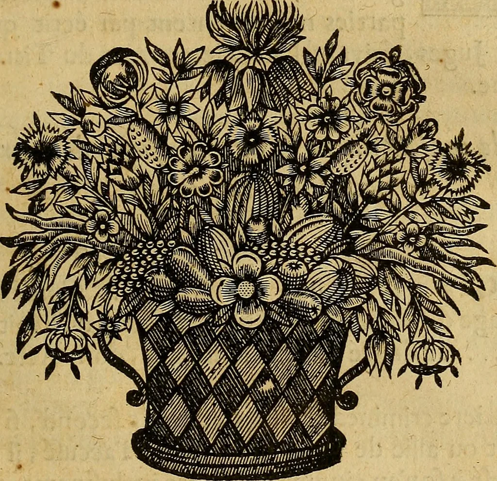 An illustration from Stile universel dresse pour toutes les cours et jurisdictions du royaume : suivant l'ordonnance de Louis XIV ... du mois d'Avril 1667, 1676, leaf 346